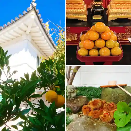 寿量山　速成寺(奈良県)