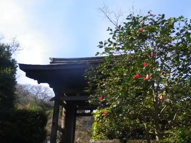 海蔵寺の山門・神門