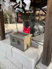 北野天満神社の狛犬