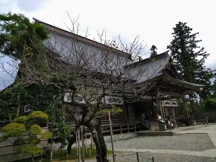 中尊寺の本殿・本堂