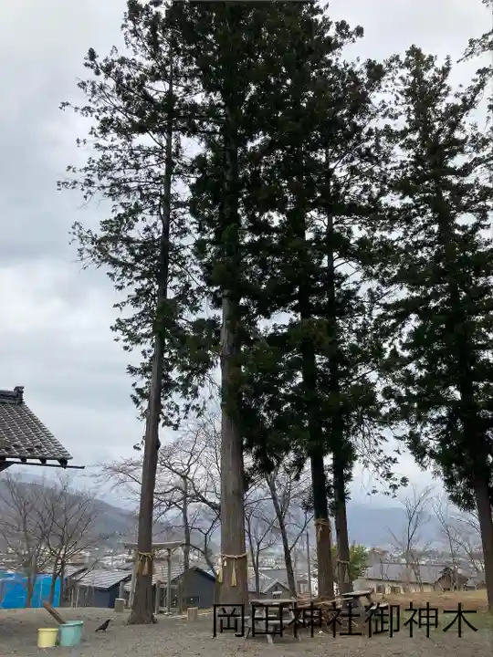 岡田神社(長野県)