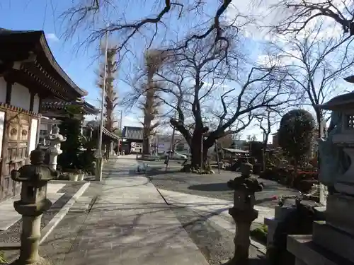 宗川寺の庭園