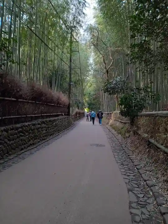 野宮神社(京都府)