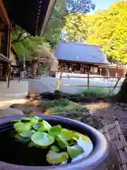 乃木神社(東京都)