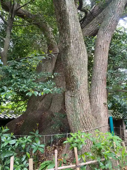 御津神社(愛知県)