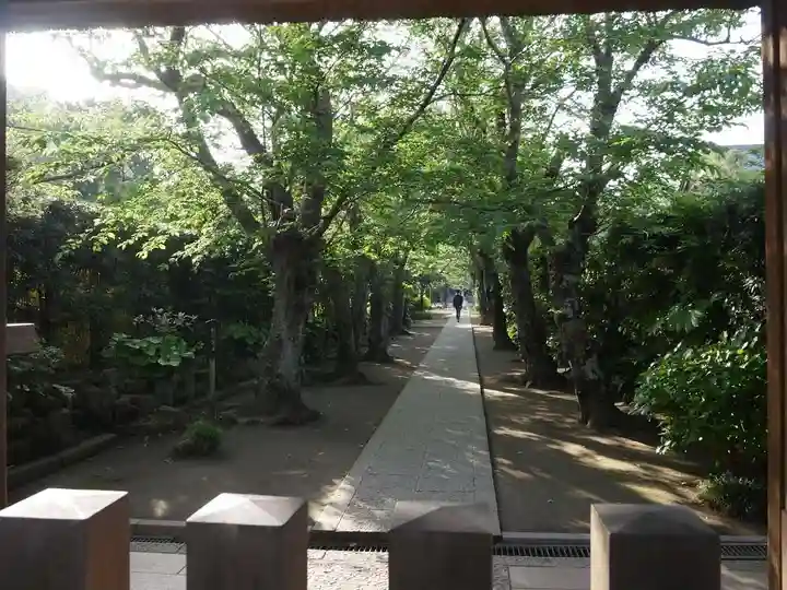 極楽寺(霊鷲山感應院極楽律寺)の周辺