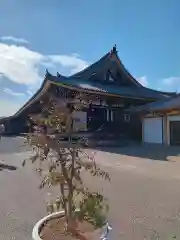 蓮華王院（三十三間堂）(京都府)