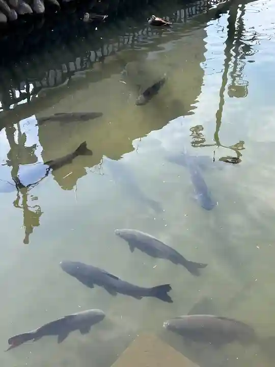 鑁阿寺(栃木県)