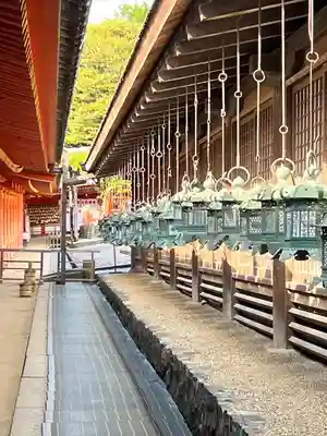 春日大社(奈良県)