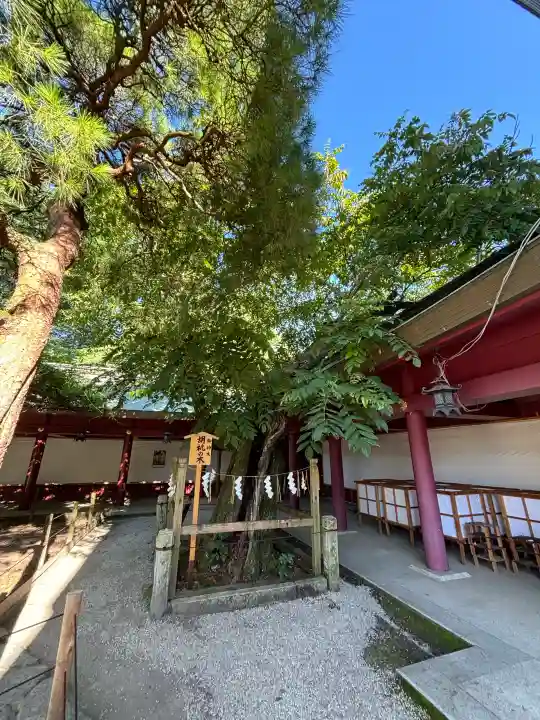 笠間稲荷神社(茨城県)