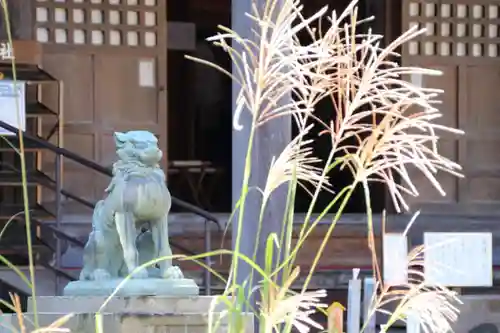神炊館神社 ⁂奥州須賀川総鎮守⁂の自然
