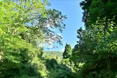 髙龍神社 中社(新潟県)