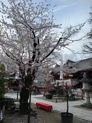 素盞雄神社(東京都)
