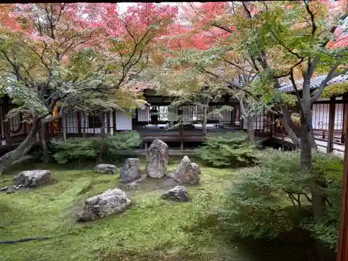 建仁寺（建仁禅寺）(京都府)