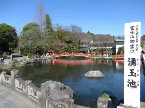 富士山本宮浅間大社の庭園