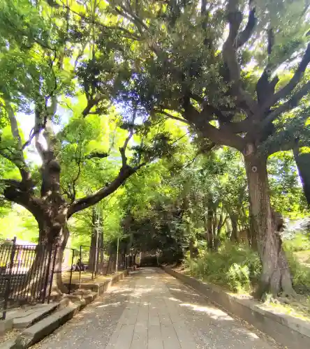 渋谷氷川神社の{uncategorized: "未分類", other: "その他", undefined: "問題あり", building: "その他建物", grave: "お墓", sacred_gate: "鳥居", guardian: "狛犬", statue: "像", buddha: "仏像", history: "歴史", nature: "自然", garden: "庭園", animal: "動物", pagoda: "塔", temizu: "手水舎", mountain_gate: "山門・神門", sanctuary: "本殿・本堂", subordinate: "末社・摂社", art: "芸術", scenery: "景色", jizo: "地蔵", ema: "絵馬", goshuin: "御朱印", omikuji: "おみくじ", items: "授与品その他", amulet: "お守り", goshuincho: "御朱印帳", eats: "食事", festival: "お祭り", votive_dance: "神楽", shichigosan: "七五三参", wedding: "結婚式", experience: "体験その他", initially: "初詣", around: "周辺", anti_infection: "感染症対策"}