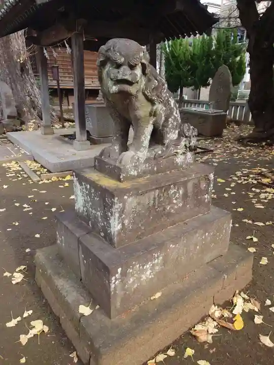 諏訪神社の狛犬