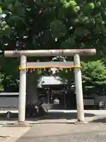 日吉浅間神社の鳥居