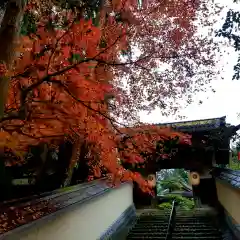 目の霊山　油山寺の山門