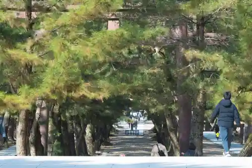 出雲大社(島根県)