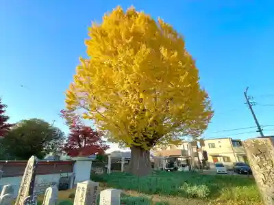宗英寺(三重県)