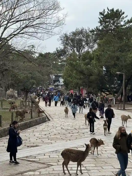 東大寺(奈良県)