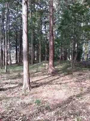 十社神社(埼玉県)