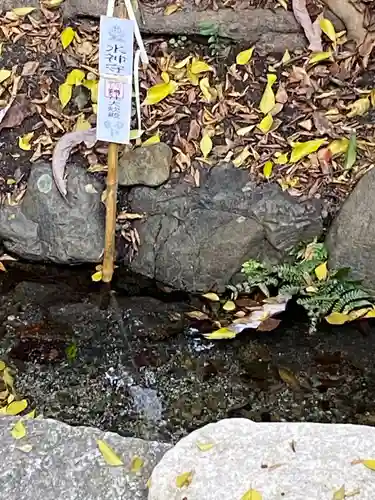 賀茂御祖神社（下鴨神社）の庭園