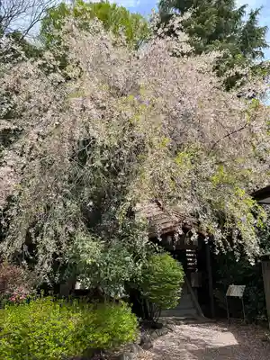 今市報徳二宮神社(栃木県)