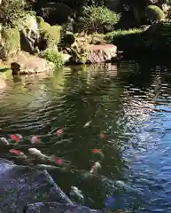 大室山龍渓院の庭園