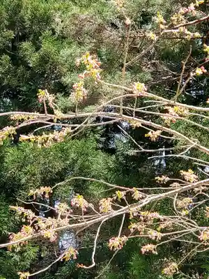 磐椅神社(福島県)