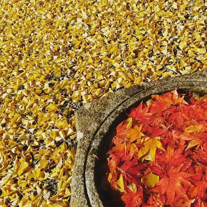壽徳寺 じゅとくじの手水舎