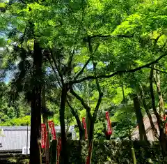 財賀寺の建物その他