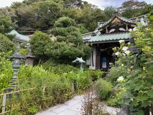 常栄寺の庭園