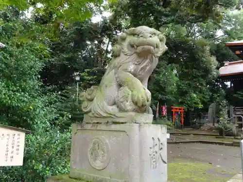 玉川神社の狛犬