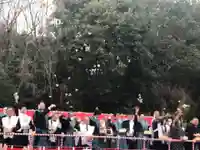 出雲大社相模分祠のお祭り
