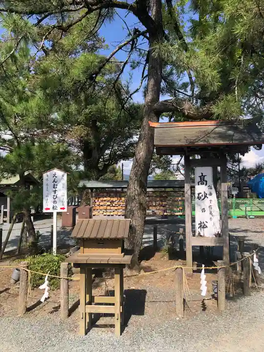 阿蘇神社(熊本県)