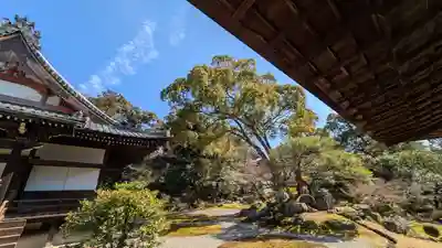 三宝院（三宝院門跡）(京都府)