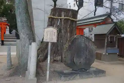 生田神社の自然