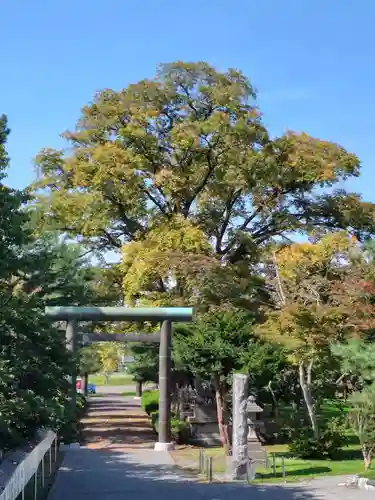 当別神社の鳥居