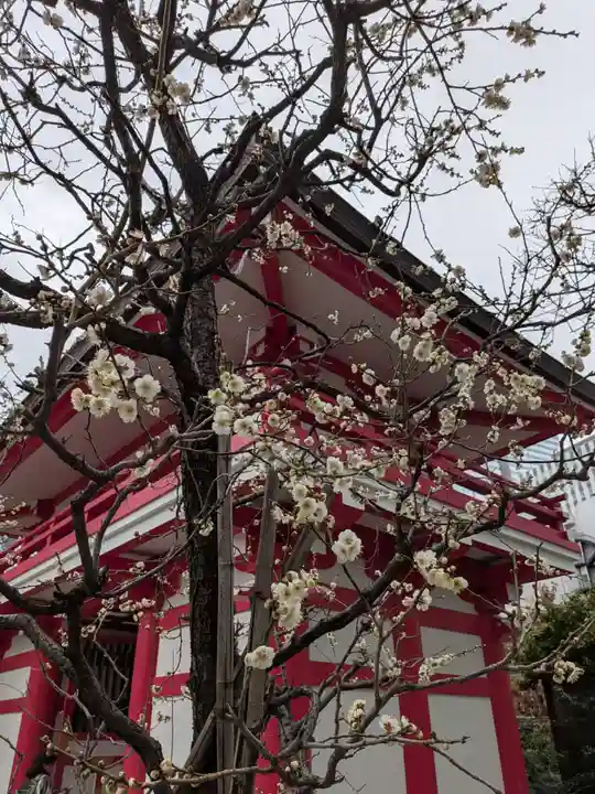 成子天神社(東京都)