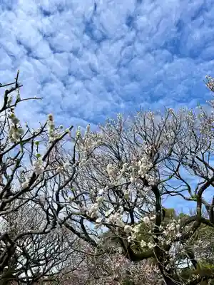 太宰府天満宮(福岡県)