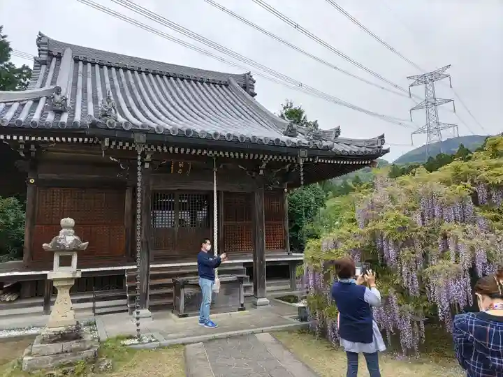 子安地蔵寺の本殿・本堂