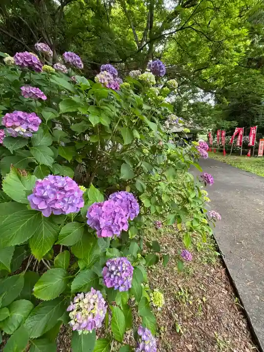 智識寺(長野県)
