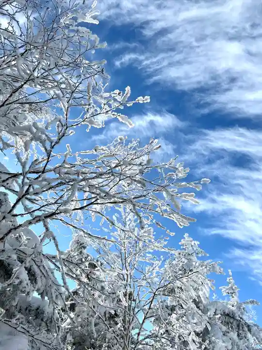 山家神社奥宮の自然