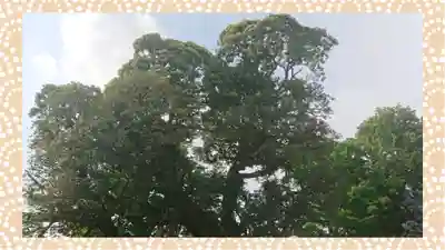 九重神社(埼玉県)