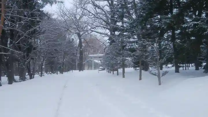 女満別神社の自然