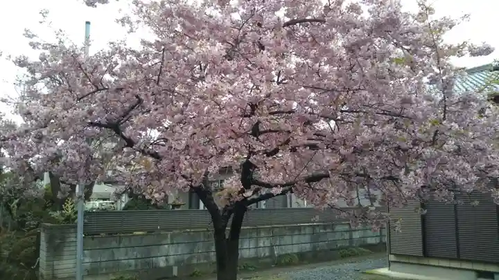 宇佐八幡社の自然