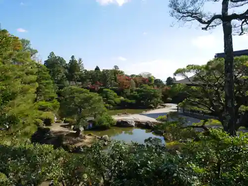 仁和寺の庭園