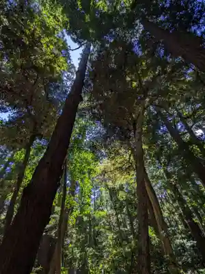 鹿島神宮(茨城県)